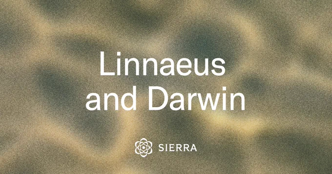 Meet Linnaeus and Darwin: Search models that drive higher resolution rates
