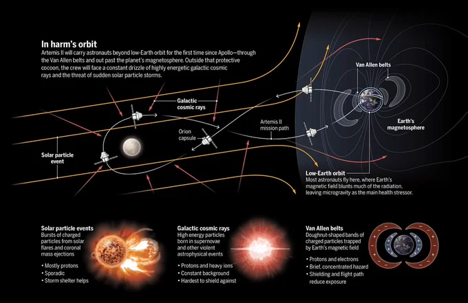 Illustrated graphic showing the Artemis II mission path, which will loop around the moon and then return to Earth. This path takes the Orion capsule outside Earth's magnetosphere, where it will be subject to  solar particle events (shown as orange arrows, coming from the direction of the Sun) and galactic cosmic rays (shown as red arrows, coming from multiple directions). Most astronauts fly in low-Earth orbit, where Earth's magnetic field blunts much of the radiation, leaving microgravity as the main health stressor.  