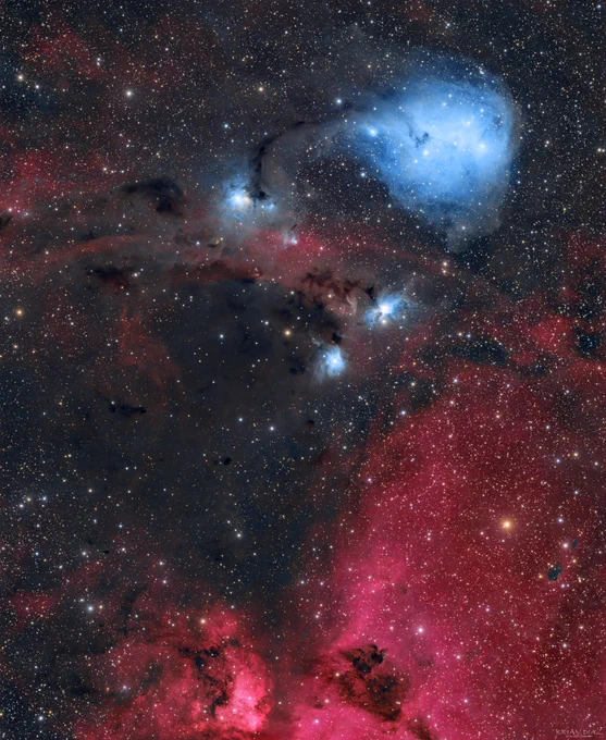 🌌 Starbase Spotlight: IC 447! 🌌 Brian Diaz expertly processed this faint nebula in Monoceros (77hrs on AFIL-36). Get the masters EXCLUSIVELY on Starbase & enjoy 25% OFF for a limited time! ➡️