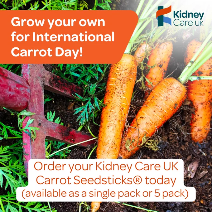 A garden scene with freshly harvested carrots alongside a red garden fork tool. An orange banner reads, "Grow your own for International Carrot Day!" The Kidney Care UK logo is in the top right corner. A note mentions ordering Carrot Seedsticks® from Kidney Care UK.