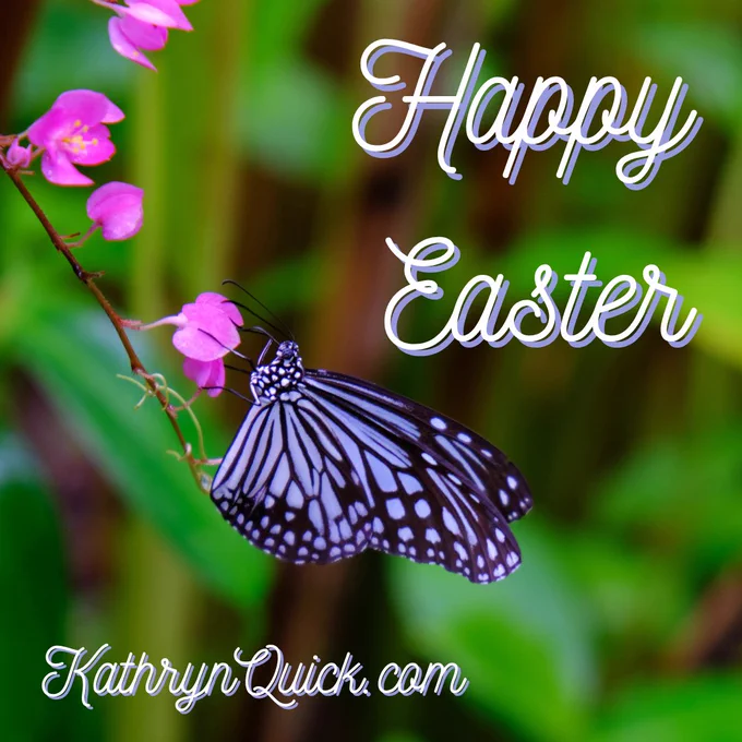 Photo of a blue and black butter fly on a light purple flower.

Happy Easter!

#HappyEaster #butterfly  #garden #amreading #KathrynQuickBooks #KathyeQuickBooks www.kathrynquick.com