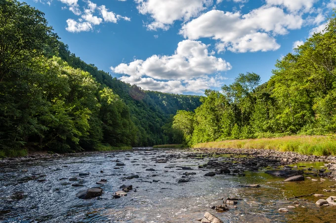 The rocky Pine Creek running through the bottom of the gorge