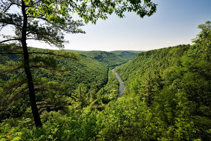 Spectacular view of the Pine Creek Gorge also known as the Grand Canyon of Pennsylvania