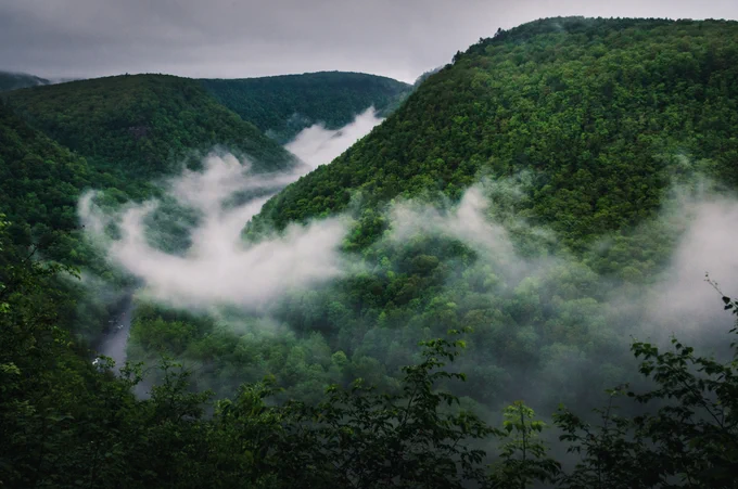 A misty mountain view from above the Pine Creek with swirling low-lying clouds snaking through the deep green valley