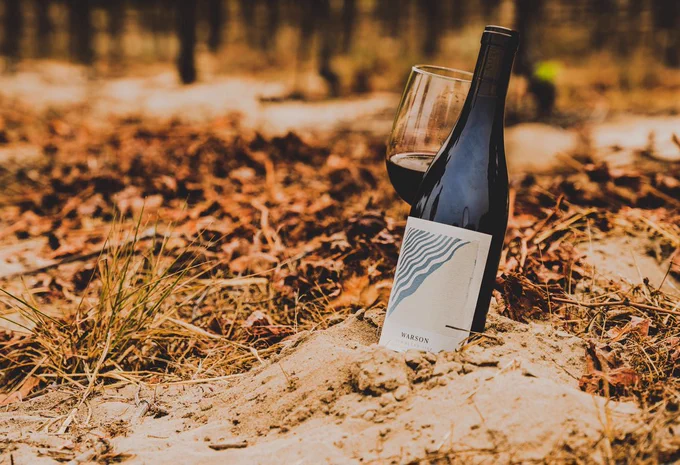 Warson Wine bottle in a vineyard