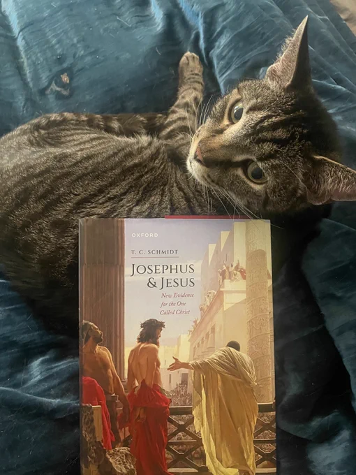 Gray tabby cat “helping” me read the book 