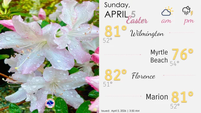 A forecast graphic for Sunday, April 5, 2026. The left side of the screen shows spring flowers covered in raindrops, while the right side of the screen shows forecast information for the day. Hoppy Easter! 🐰🐣 Partly to mostly cloudy and muggy to start our morning. Showers and storms ahead of a cold front will increase this afternoon and evening. Meanwhile, we have a moderate risk of rip currents along all of our beaches.