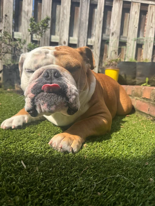 jack squeezes his eyes and sticks out his tongue