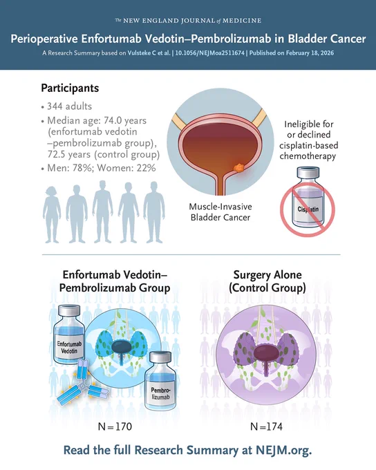 The New England Journal of Medicine                      
Perioperative Enfortumab Vedotin–Pembrolizumab in Bladder Cancer 
A Research Summary based on Vulsteke C et al. | 10.1056/NEJMoa2511674 | Published on February 18, 2026 

Visual representations of the patients in the trial and the treatments they were assigned.       

Read the full Research Summary at NEJM.org. 