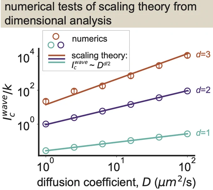 Graph depicting the verification of scaling theory predictions based on dimensional analysis, plotting the diffusion coefficient D versus the dimensionless ratio Icwave/k. The chart plots the theoretical predictions of dimensional analysis for one dimension (teal line), two dimensions (purple line), and three dimensions (red line). The graph also displays circles representing numerical results for each dimension in the same corresponding colors, with the circles closely aligning with the plotted theoretical results. 