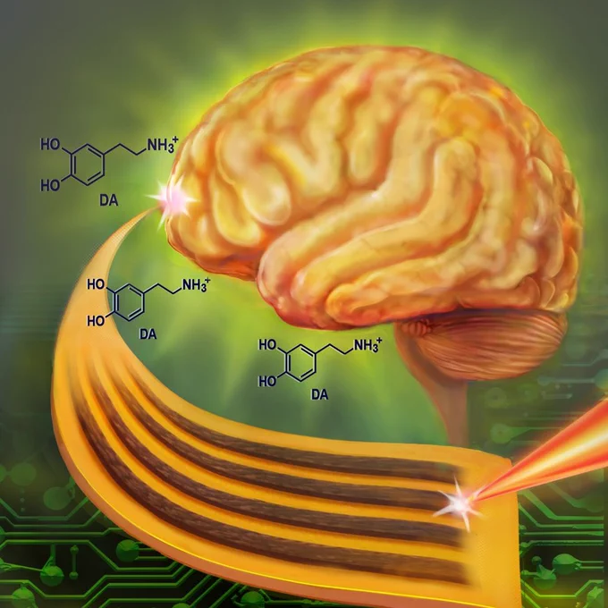 Cover design showing a brain with chemical symbols and lasers producing a flexible, conductive material