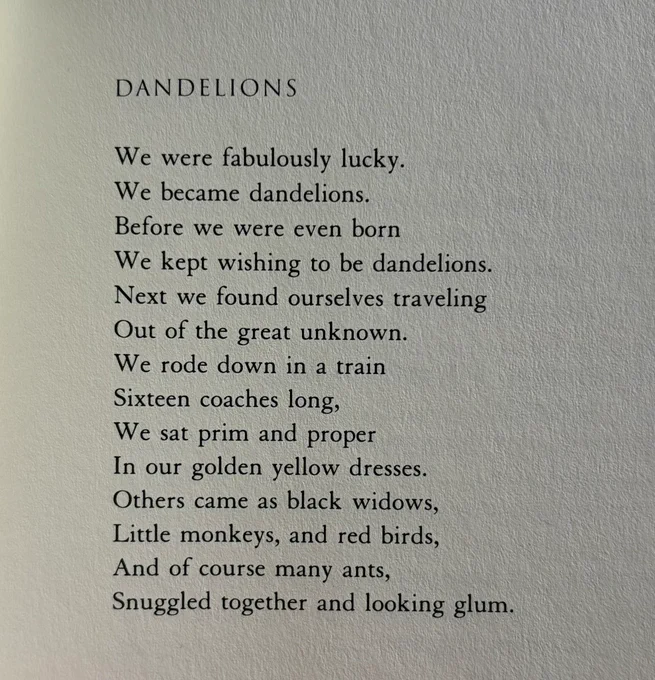 DANDELIONS

We were fabulously lucky.
We became dandelions.
Before we were even born
We kept wishing to be dandelions.
Next we found ourselves traveling
Out of the great unknown.
We rode down in a train
Sixteen coaches long,
We sat prim and proper
In our golden yellow dresses.
Others came as black widows,
Little monkeys, and red birds,
And of course many ants,
Snuggled together and looking glum.