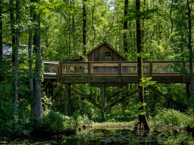 A wooden boardwalk and small cabin stand elevated above a calm, tree-filled wetland, surrounded by dense green forest and reflected in the water below.