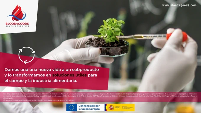 Sabías que o sangue de matadeiro pode transformarse en biofertilizantes de alto valor ?
no proxecto Blood4Goods demostramos que a Economía Circular é innovación real: damos nova vida a un subproduto e convertémolo en solucións para campo e industria  www.blood4goods.com