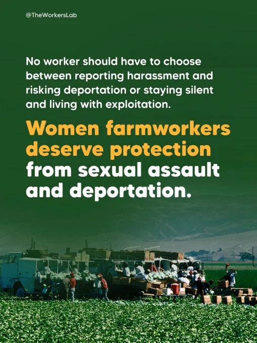 Advocacy graphic over a photograph of farmworkers harvesting crops in a large agricultural field with the text: "No worker should have to choose between reporting harassment and risking deportation or staying silent and living with exploitation. Women farmworkers deserve protection from sexual assault and deportation." Via @TheWorkersLab.