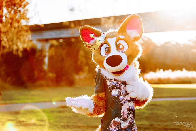 Upper body portrait photo of Corgi King (corgi fursuiter) in a park with his arm outreached to the viewer. The photo was taken at golden hour and a natural lens flare appears diagonally across the photo. His fur has backlit illumination from the sun and glows bright around him.

Shot on Canon EOS R5 at 73mm f/2.8 ISO100 1/500s. Taken by Colto Fox at S² Fur Meet (Sydney, NSW) on 3 August 2024.