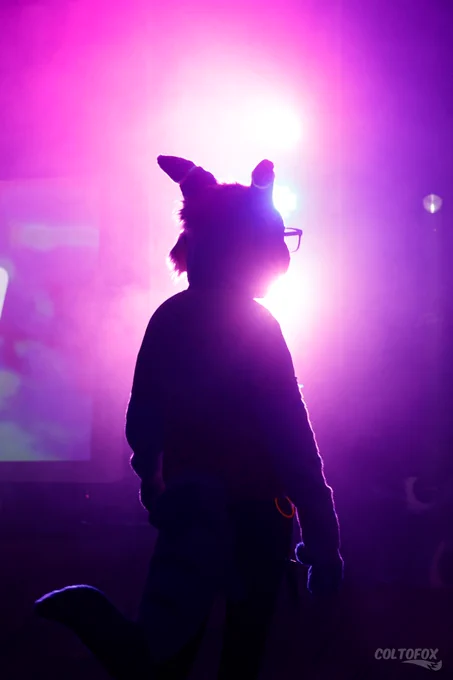A full-body silhouette shot of Nayfin (blue tiger shark fursuiter) at the fursuit dance facing into the bright purple stage lights surrounded by fog. A slight lens flare emits from behind his head.

Shot on Canon EOS R at 50mm f/2.8 ISO400 1/80s. Taken by Colto Fox at Aurawra Year 1 (Sydney, NSW) on 24 July 2022.