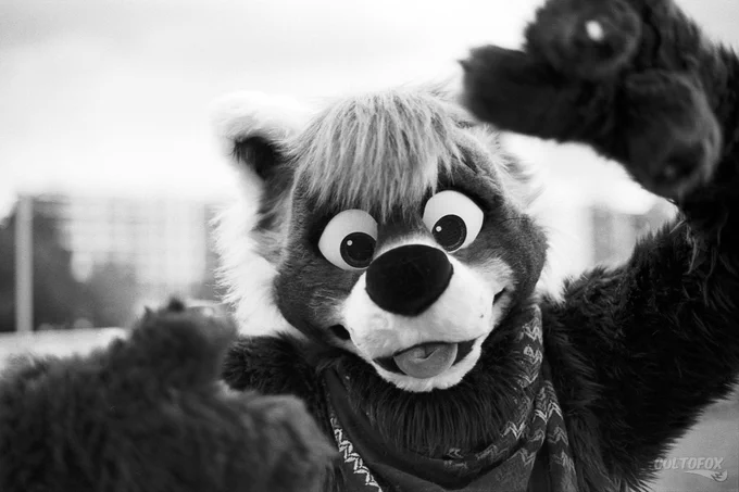 A headshot photo of Kaede Momiji / PrincePanda (red panda fursuiter) at a park mimicking a photo frame at the viewer. The photo was captured in black and white.

Shot on Canon EOS 50 at 50mm f/2.8 ISO400 on Kodak Tmax 400 film. Taken by Colto Fox at FurJAM 2022 (Sydney, NSW) on 10 September 2022. The film was hand-developed by Colto Fox in Kodak HC-110 in 1:31 ratio for 6mins.