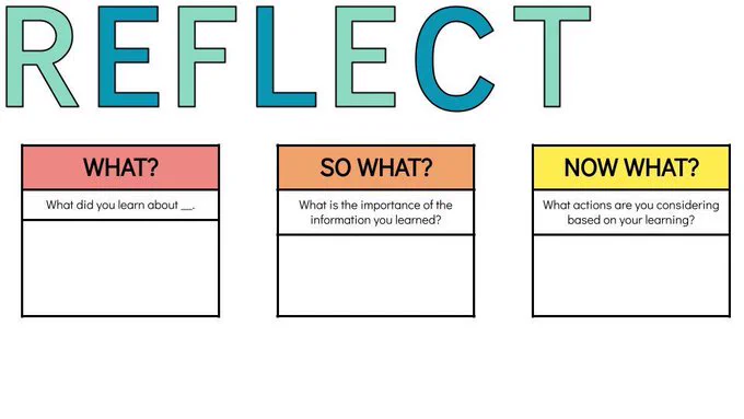 REFLECT exercise page, including three sections for notes under "WHAT?", "SO WHAT?" and "NOW WHAT?"