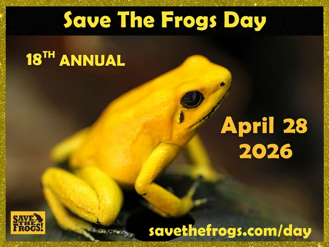 Save The Frogs Day
