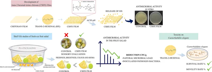 https://doi.org/10.1016/j.foodchem.2026.149065
