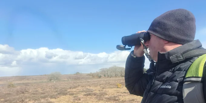 A New Forest National Park Authority ranger on a ground nesting bird patrol is wearing a black jacket and hat looking through binoculars in an open field. The sky is clear, with a few clouds in the background.