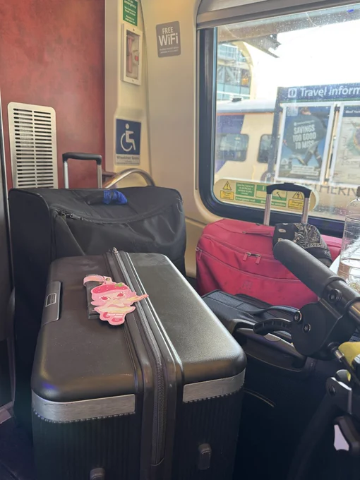 luggage in the wheelchair spot