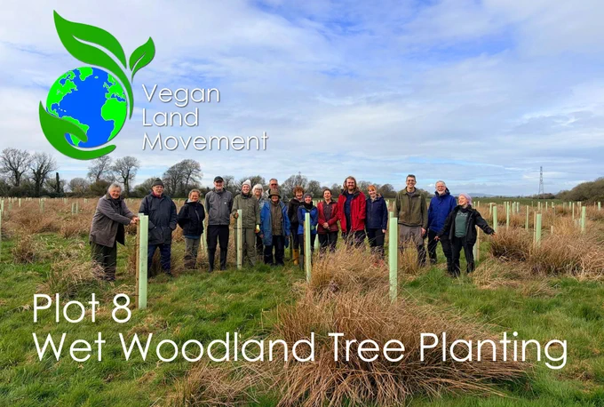 Group of amazing volunteers after planting on Plot 8
