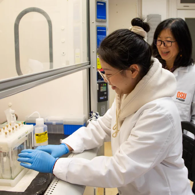 Dr. Hong Moulton and team investigating materials in a lab. 