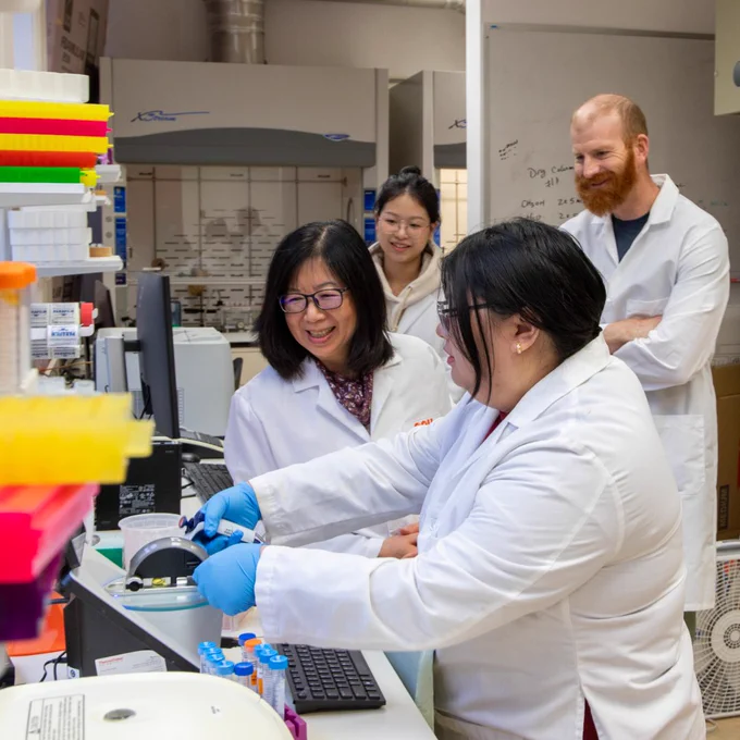 Dr. Hong Moulton and team investigating cells in a lab. 