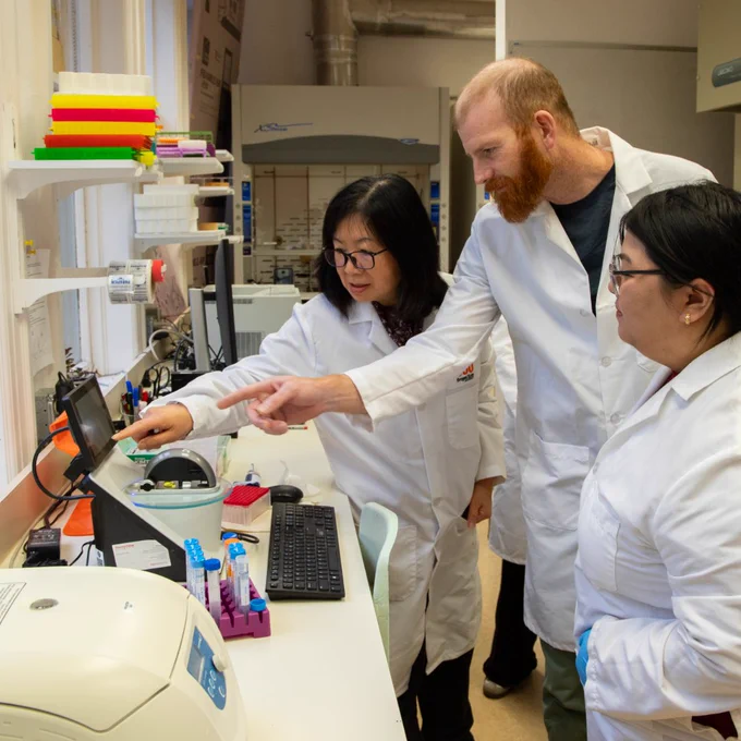 Dr. Hong Moulton and team investigating data in a lab. 