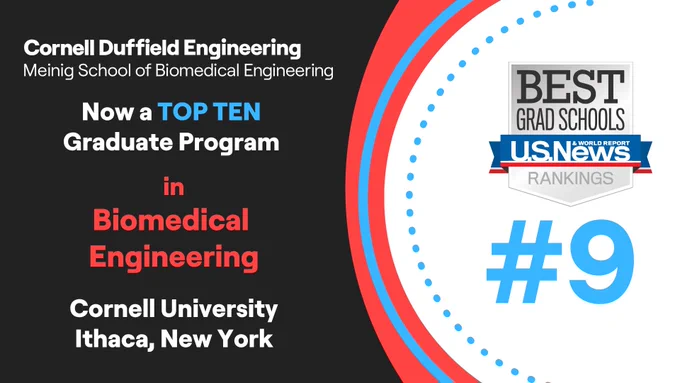 Cornell's graduate program in biomedical engineering named a Top Ten Best Graduate Programs by U.S. News and World Reports.