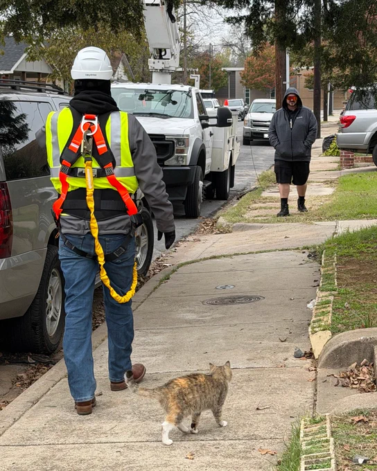 A neighborhood cat walking alongside a Sonic Field Service Operator on the sidewalk. A Sonic Field Service Lead is walking towards them from the opposite direction, wearing shades.