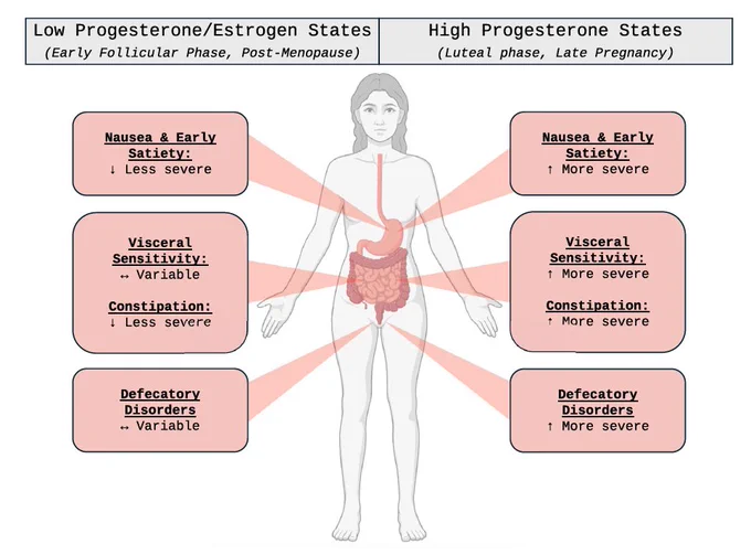 
Impact of hormonal status on gastrointestinal symptoms