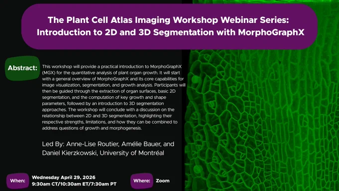 Promotional image for the PCA Imaging Workshop Webinar Series: Introduction to 2D and 3D Segmentation with MorphoGraphX. The promo has a purple background behind text over a green plant cell graphic with a black background. It also includes the webinar's full abstract description.