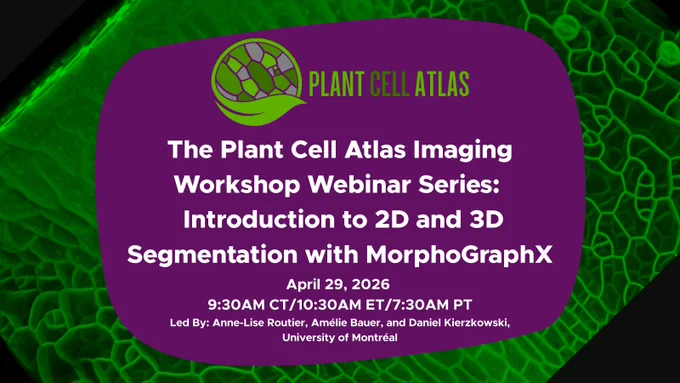 Promotional image for the PCA Imaging Workshop Webinar Series: Introduction to 2D and 3D Segmentation with MorphoGraphX. The promo has a purple background behind text over a green plant cell graphic with a black background. It also includes the details for the webinar including the date/time.