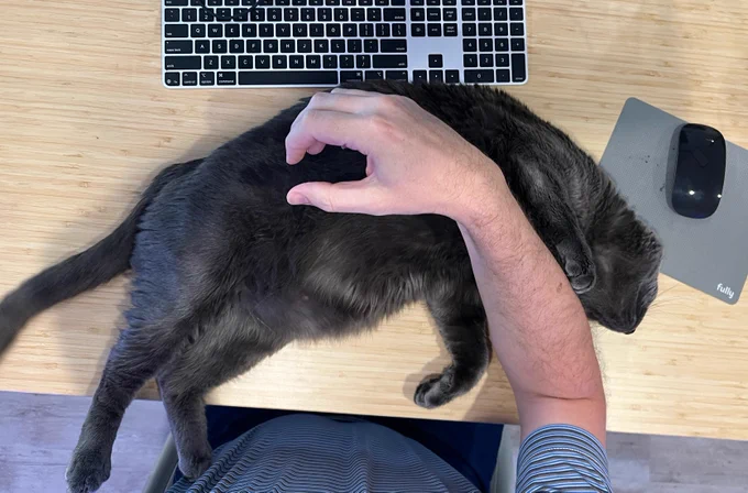 A photo of Mark Westguard trying to work, but his cat Smudge is laying on his desk obstructing his keyboard and mouse, demanding belly rubs.