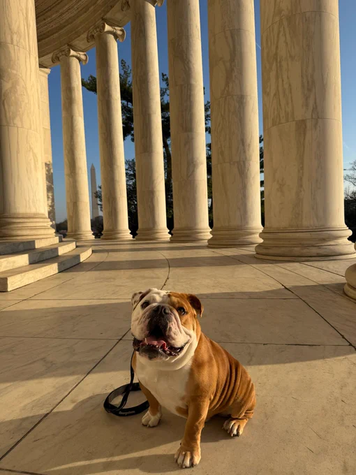 Jack sits in the Jefferson memorial surrounded by marble columns