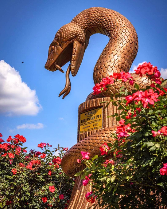 A photo of the Snake Pit statue at Innisbrook Resort with bright pink flowers blooming around it.