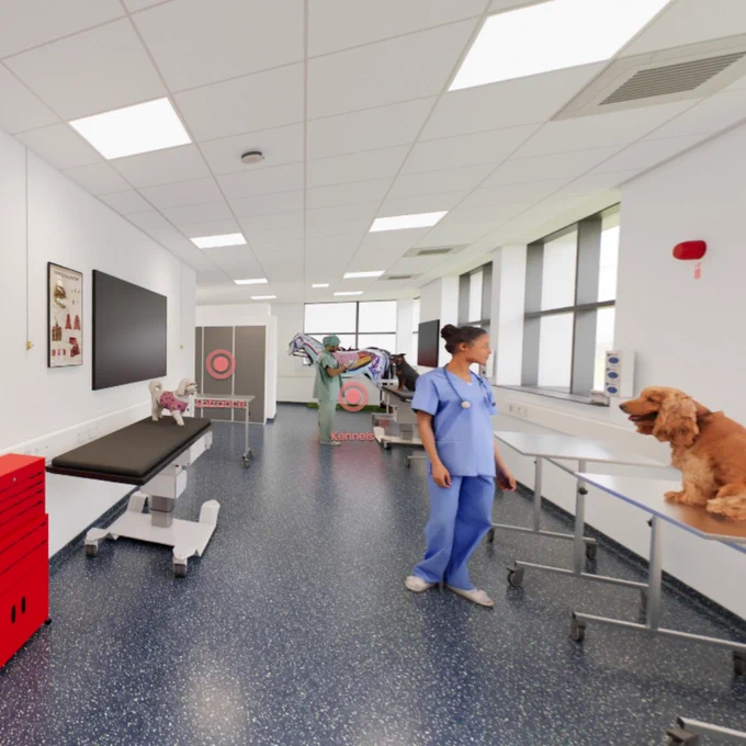 Veterinary clinic room with a nurse in blue scrubs attending to a brown dog on an examination table.