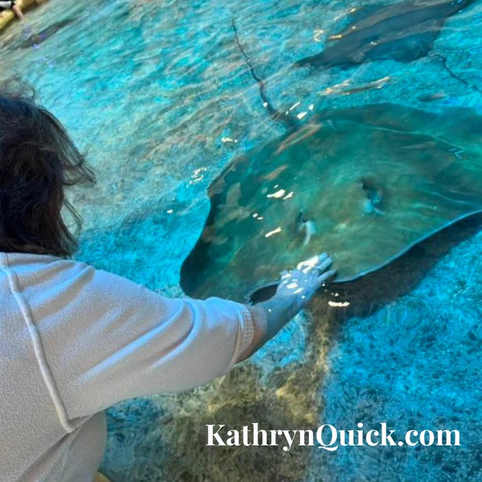 Photo of Kathryn Quick touching a ray.

Spent yesterday afternoon at the Adventure Aquarium in Camden. Great place. Did two miles just walking around there.
#aquarium #IndoorWalking #amreading #kathyequickbooks #kathrynquickbooks www.kathrynquick.com