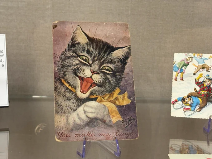 Postcard showing a cat. 