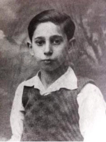 A portrait photo of a face and torso of young boy. He is waering a vest and a shirt. He has short, nicely combed hair. There is some tree-like shape in the background.