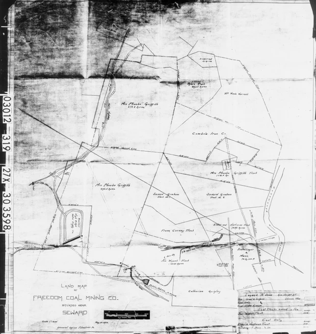 Black and white land map showing plots and boundaries for Freedom Coal Mining Co. in Selma with labeled owners and roads.