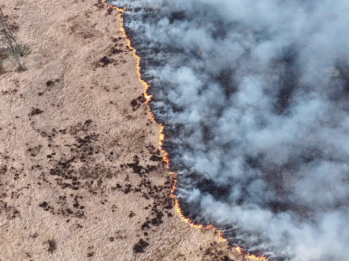 Fire line advancing towards electricity Pilon