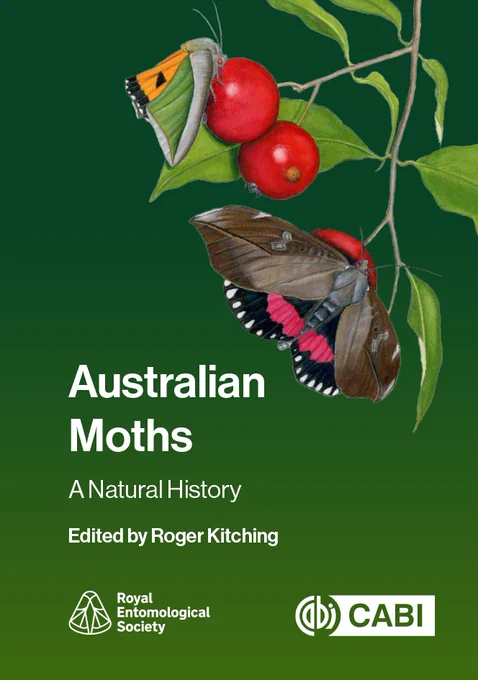Australian Moths - A Natural History, book by Roger Kitching, cover featuring two moths perched on a branch with red berries against a green background.