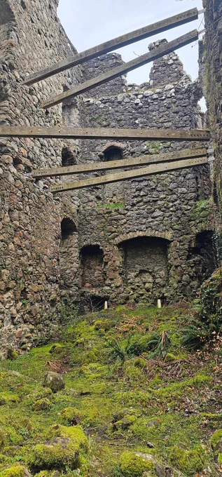 The inside of the castle shown on the previous photo, in ruin and invaded by moss.