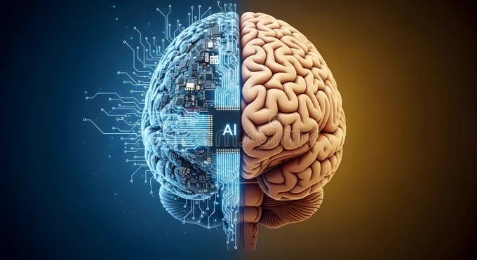AI   Human brain