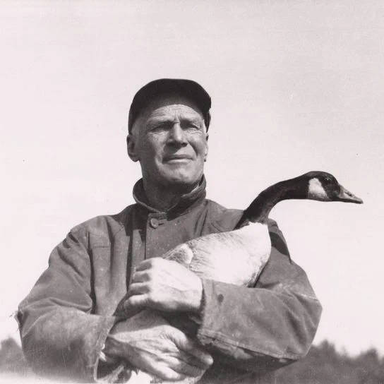 Jack Miner stands outdoors holding a Canada goose in his arms. He wears a dark cap and a heavy, buttoned jacket. The goose is tucked against his chest, its head extended forward and slightly to the side. Miner’s face is turned slightly upward, with a firm expression. The background shows a blurred tree line beneath an open sky.
