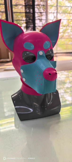 custom pet hood, do you like it? more update on: www.kinkprojects.com